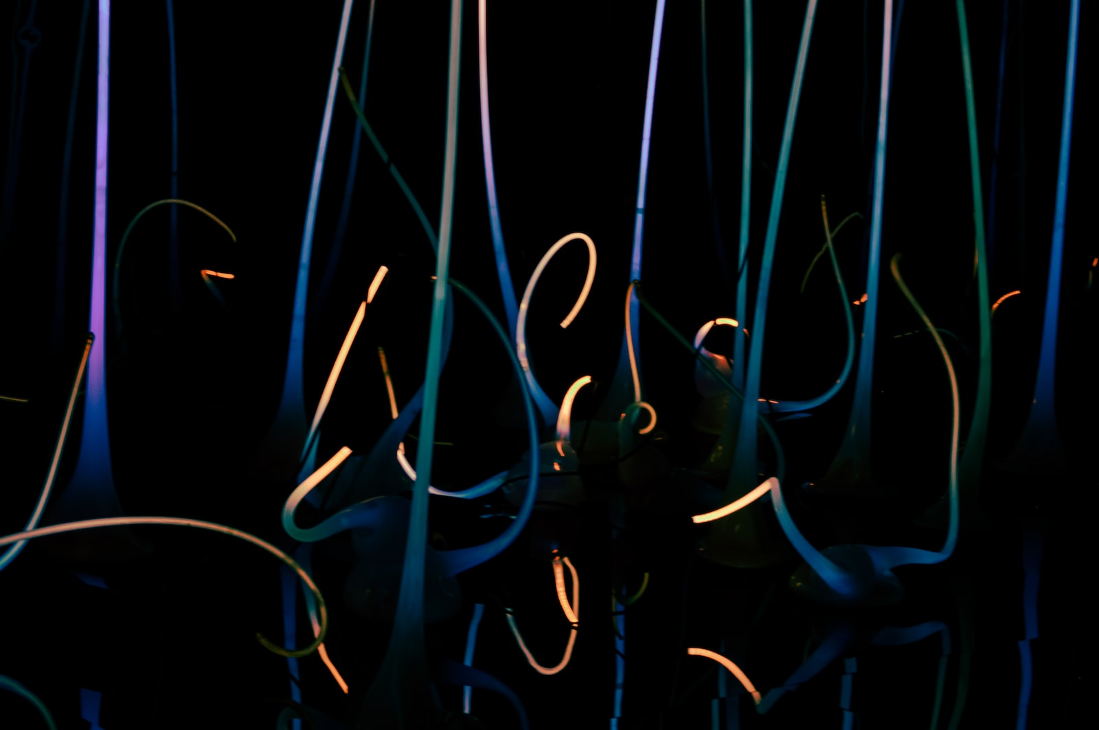 farts glow in the dark