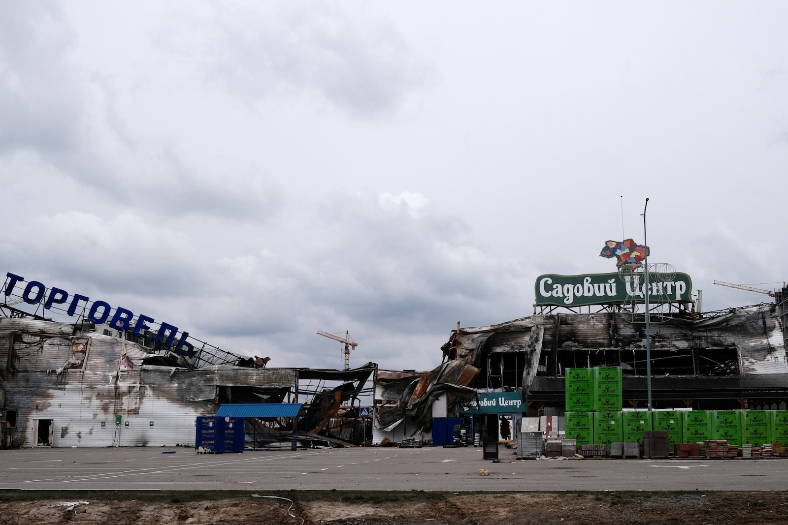 Role of International Organizations