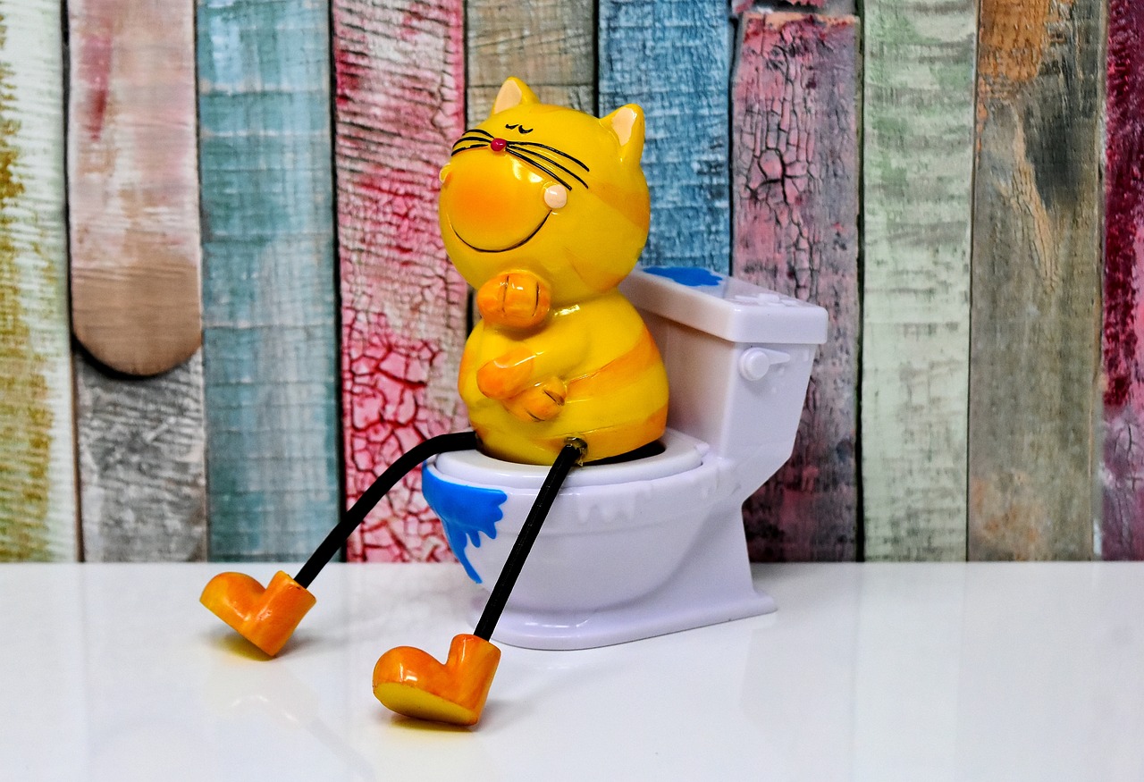 litter box, toilet, cat