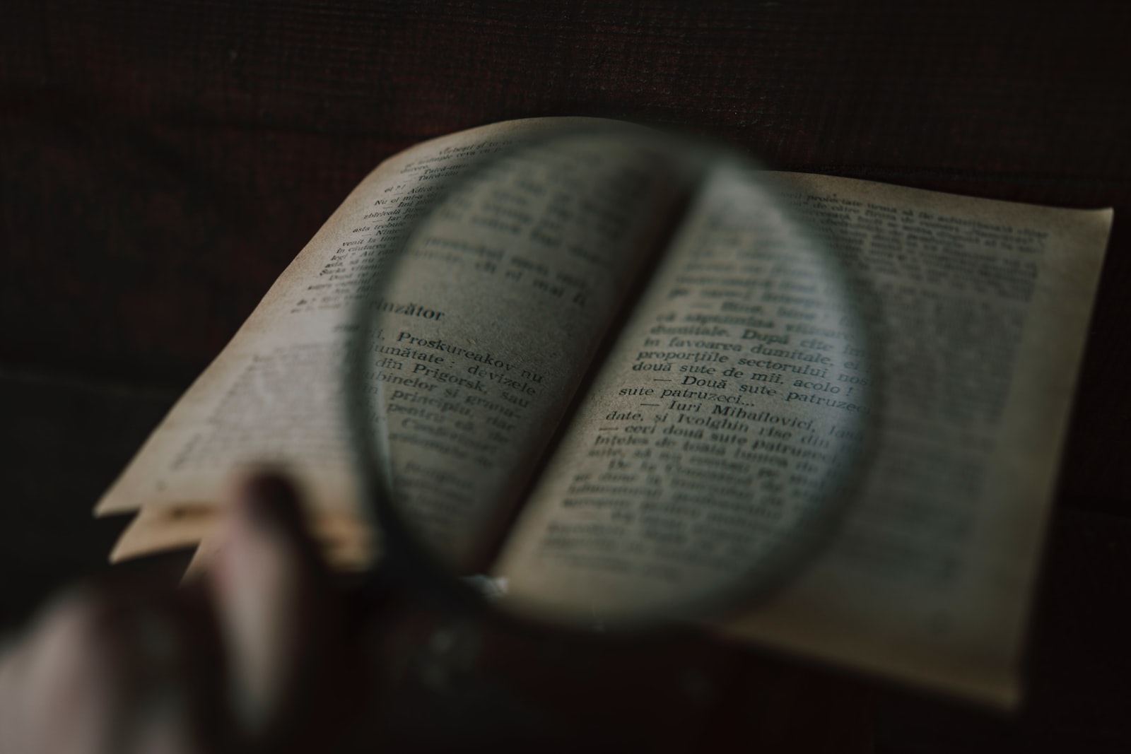 person reading book on brown wooden table