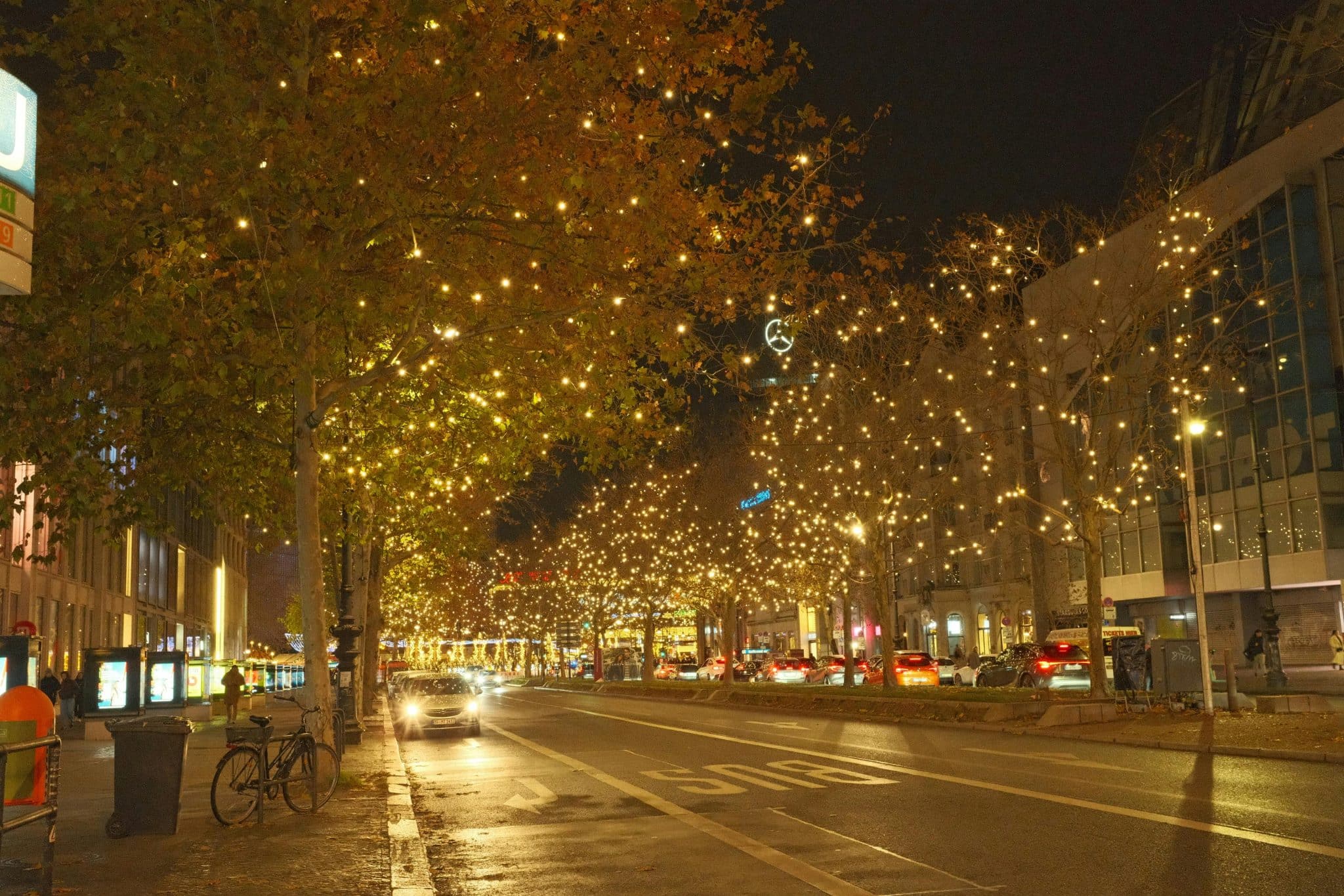 How does one untangle Christmas lights without questioning all life choices?